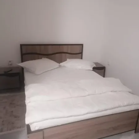 Casa Muresan Pensiune *